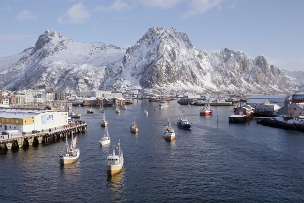 Ein Jahr auf den Lofoten