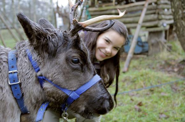 Anna und die wilden Tiere