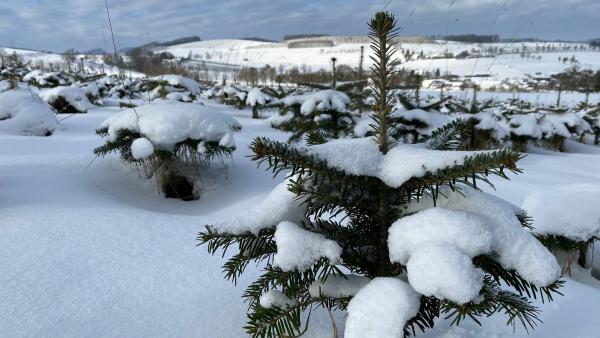 Erlebnis Erde Erlebnis Erde