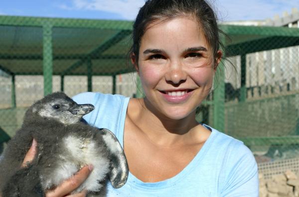 Anna und die wilden Tiere Anna und die wilden Tiere