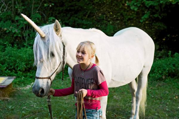 Tiere bis unters Dach