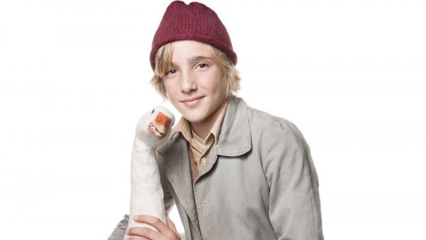 Nils Holgerssons wunderbare Reise Nils Holgerssons wunderbare Reise