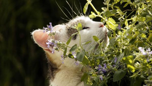 Erlebnis Erde Erlebnis Erde