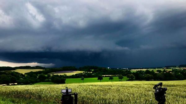 Der Sturm - Tiere bei Blitz und Donner