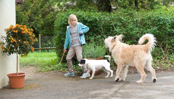 Tiere bis unters Dach