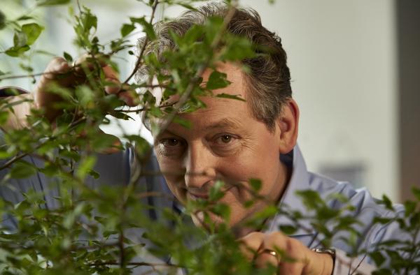 Wissen vor acht - Erde