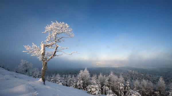 Abenteuer Wildnis