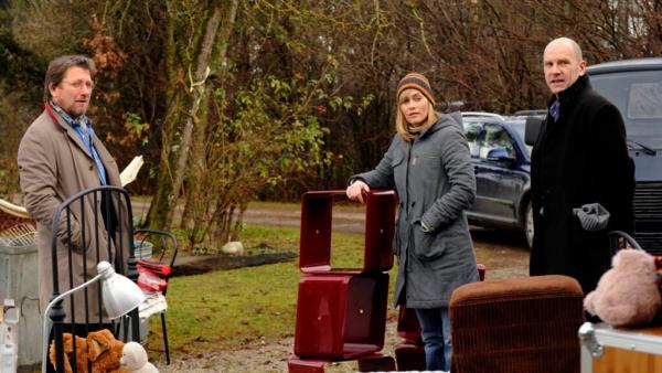 Familie für Fortgeschrittene