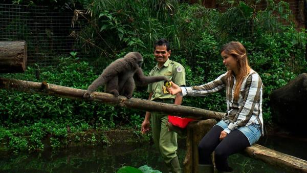 Anna und die wilden Tiere