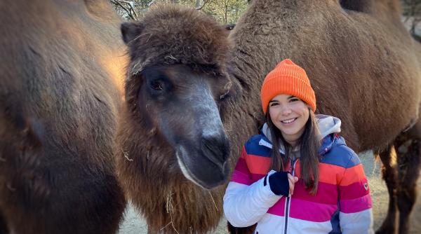 Anna und die Haustiere