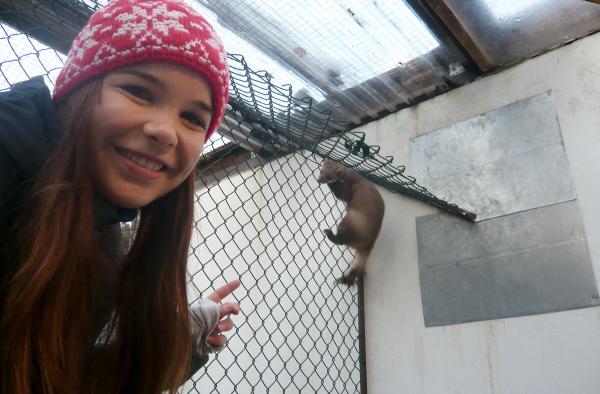 Anna und die wilden Tiere