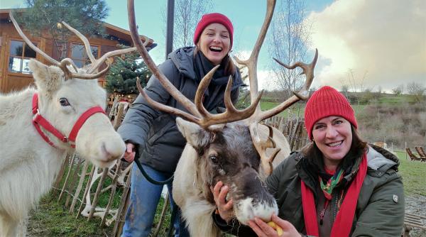 Checkerin Marina Checkerin Marina