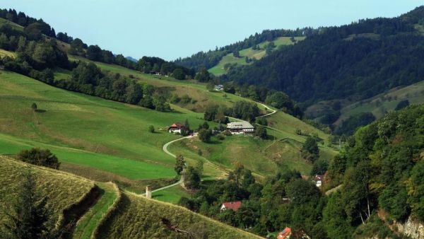 Der Schwarzwald rund ums Jahr