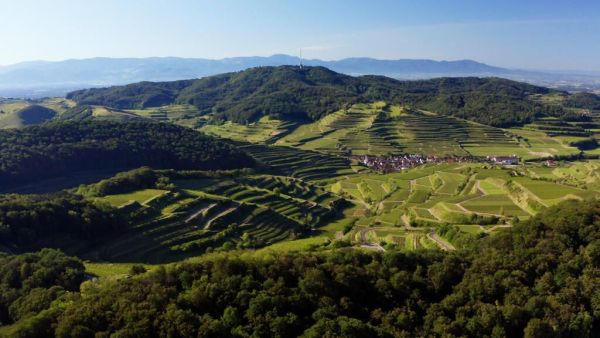 Wildes Deutschland: Der Kaiserstuhl