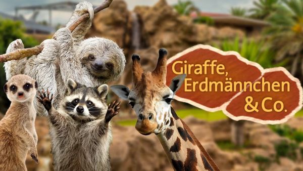 Giraffe, Erdmännchen & Co.