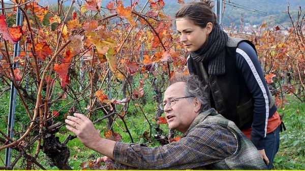 Weingut Wader - Die Erbschaft