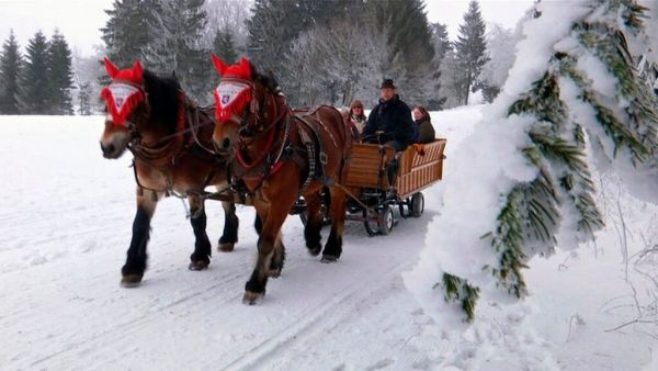 Lust auf Schnee