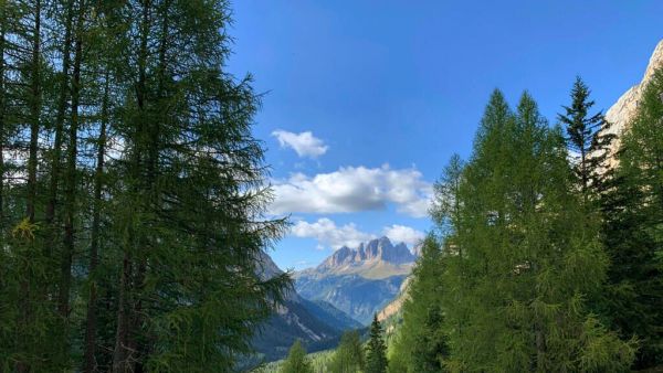 Trentino entdecken: Italien zwischen Gardasee und Dolomiten