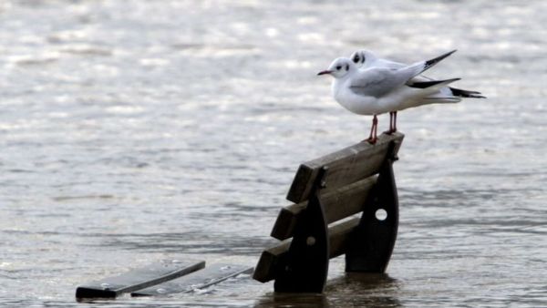 Versinken wir im Meer?