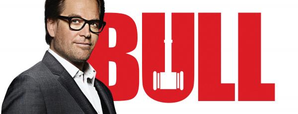 Bull