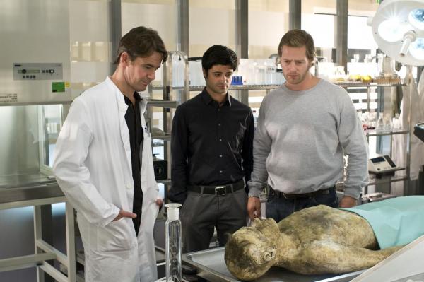 Der letzte Bulle Der letzte Bulle