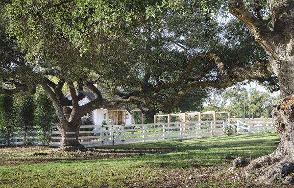 Fixer Upper - Umbauen, einrichten, einziehen!