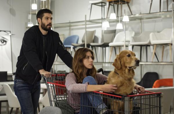 In the Dark In the Dark