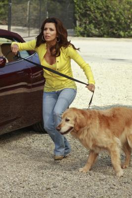 Desperate Housewives