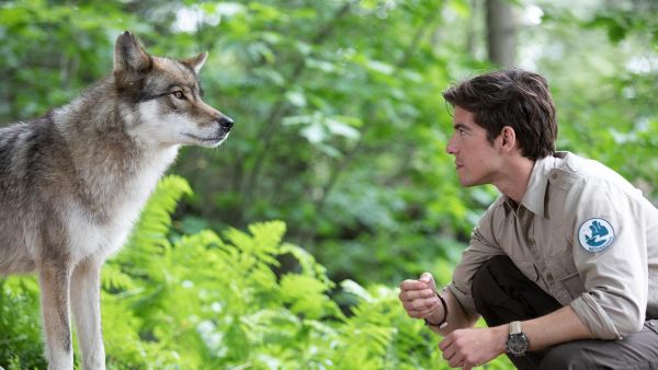 Der Ranger - Paradies Heimat: Wolfsspuren