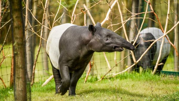 Zoo und so - Tierisch wild!