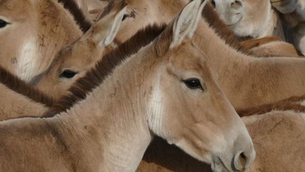 Abenteuer Wildnis