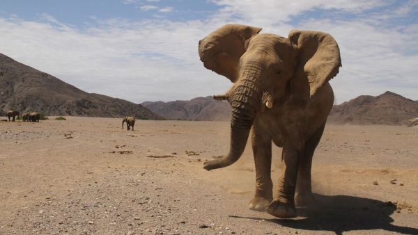 Abenteuer Wildnis