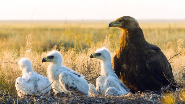 Abenteuer Wildnis