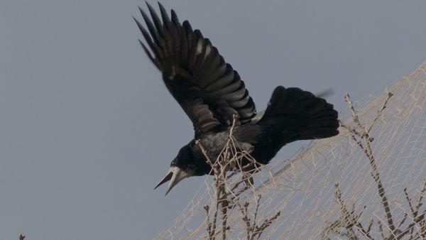 Abenteuer Wildnis