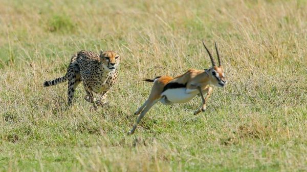 Abenteuer Wildnis