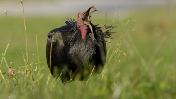 Abenteuer Wildnis