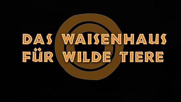 Das Waisenhaus für wilde Tiere - Abenteuer Afrika