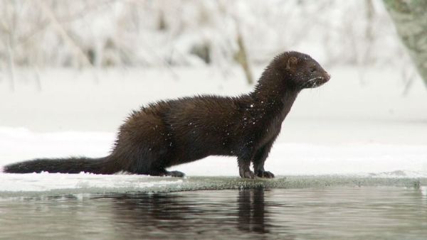 Abenteuer Wildnis