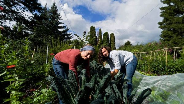 Urban Farming - Gärtnern fürs Klima