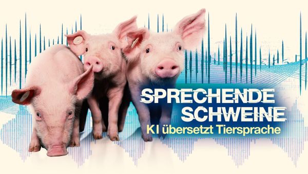 Sprechende Schweine