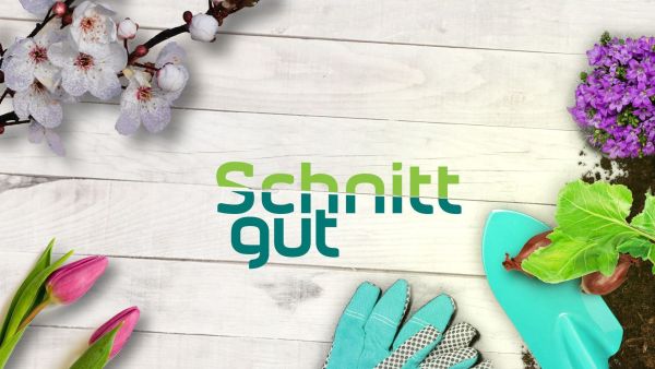 Schnittgut. Alles aus dem Garten
