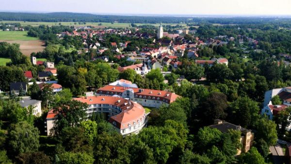 Wald der Biber und Kraniche · Die Dübener Heide