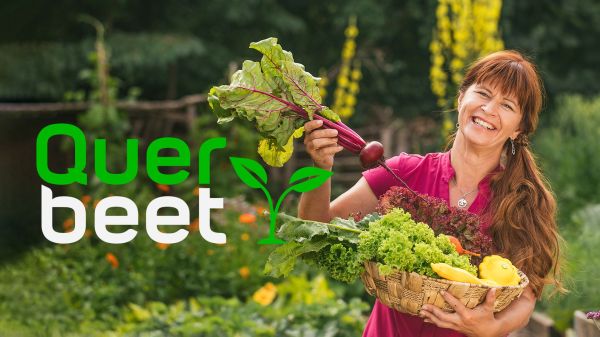 Querbeet extra