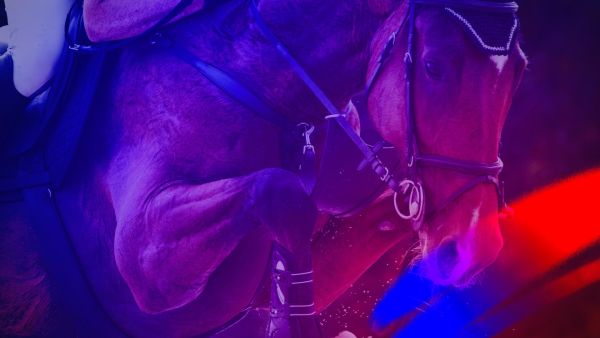 Reitsport: Global Champions Tour in Saint Tropez