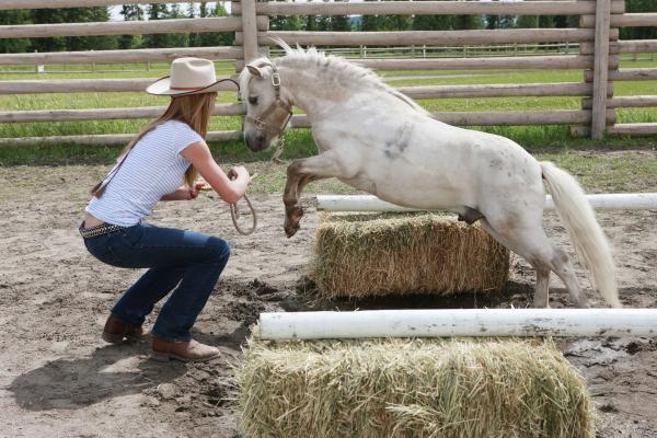 Heartland - Paradies für Pferde