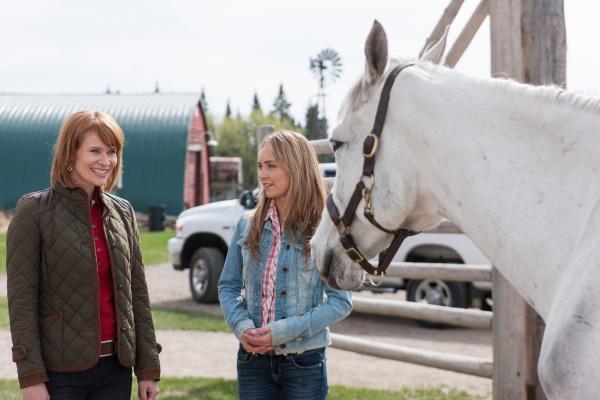 Heartland - Paradies für Pferde