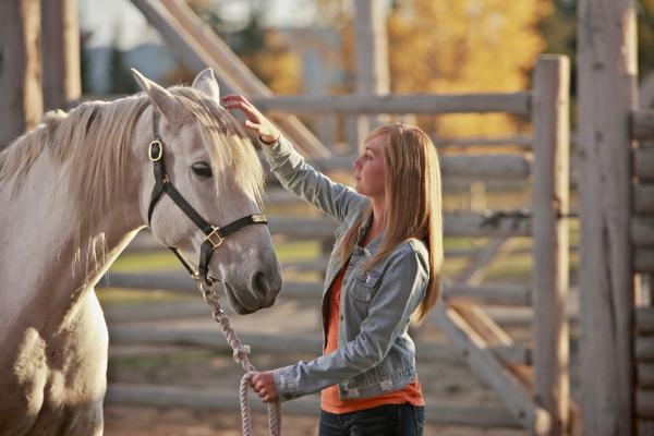 Heartland - Paradies für Pferde