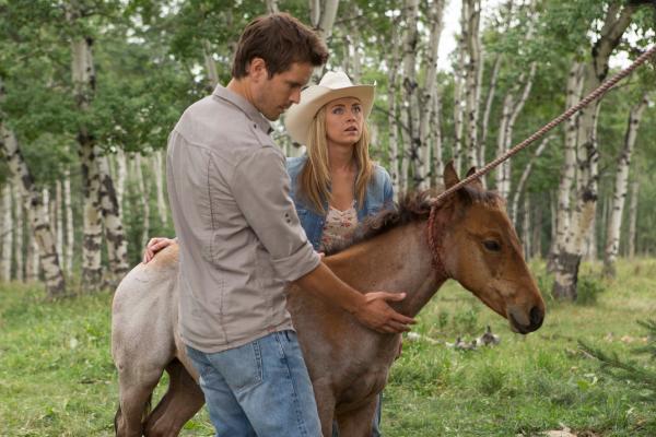 Heartland - Paradies für Pferde