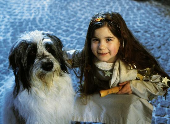 Weihnachten mit Willy Wuff 3 Weihnachten mit Willy Wuff 3