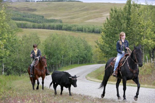 Heartland - Paradies für Pferde